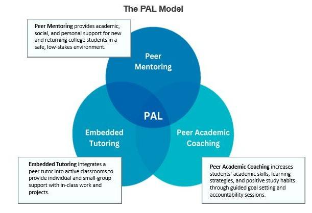 Venn diagram illustrating the intersection of embedded tutoring, peer mentoring, and peer academic coaching.